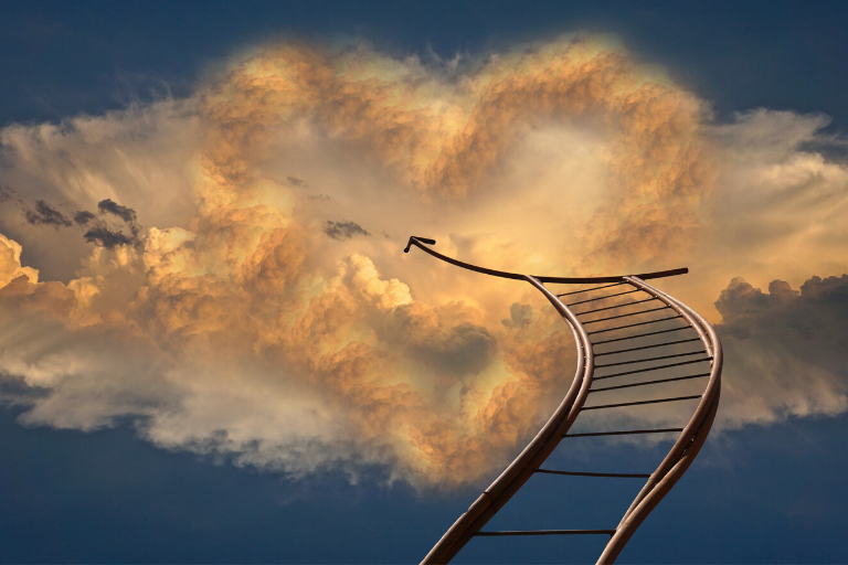 Career Development nielsreib.com